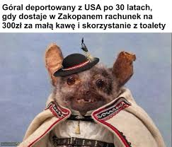 55d69675-6450-43db-84af-943c1871a973