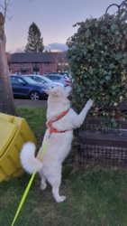 a64087ef-15d2-4eaf-9b15-57ea5f3634a2