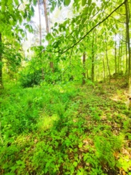 9447f15c-1e67-4944-ae02-e71070b50a01