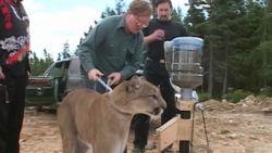 d35f6197-f516-4b72-af1b-a6c752d9bb72