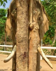 c37d2234-31f5-4ce9-b8ef-dafacb5a3078