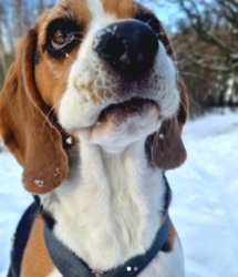 07d325f3-641d-4bc1-844b-fc016fb2954b