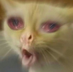 c1d15dc1-89cd-4470-8db3-79a09509b513