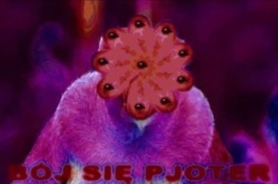 d8095672-38bd-49e4-b2cf-b178cb22538c