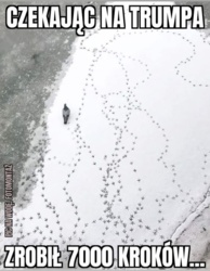 d40e998a-de16-405b-8b35-a8f06ba23743