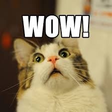 b925dcc8-28dd-4919-aef1-e7dabea2dd24