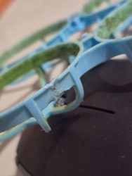 121c2423-88c5-4d8f-8b38-a533631c00c1