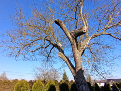 64d4f023-ed92-4053-962b-9265a4b0dc72