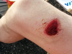 e81fa6d1-6c2c-4e74-8af7-66e4c57320a5