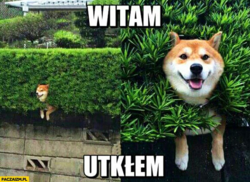 e4ff0955-9275-4bc6-b80c-0b544175430f