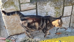 cea370c0-91a2-4891-81a7-73e2d1aa47b7