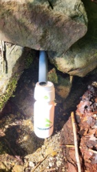 fb781d83-a395-44d1-a347-ed022de2d7b3