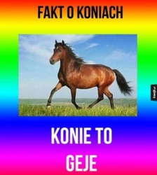 a9f82972-01ea-4e27-9a6c-0140d1d93141