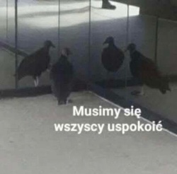 821eb292-3266-4ad1-a4e2-cd787aa860df