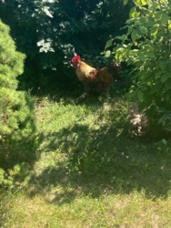 5cb2dea7-8946-411e-b366-d5ee885a4885