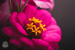 e7bde4bb-5fbc-45a9-989d-745f620e64f1