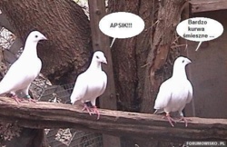 8659dd6c-2015-4457-89da-642d63426eba