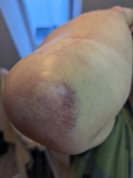 e74d5247-5223-4511-9fca-b048dc15528b