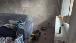 d786f29a-3446-43e0-b62b-c7bd4f215bb8