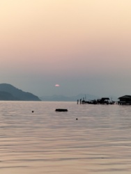 316335ae-85ce-4f7e-81ab-88fa027fa25b