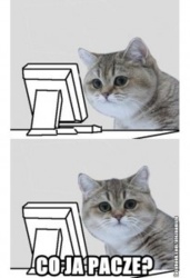 22225b71-95da-4884-aff1-15b4809076c0