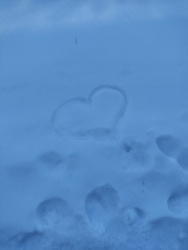 e69493f9-c68e-478c-bcc4-4f837b5b8ade