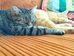 de6f8baa-8aa6-4874-b34b-949435005a6e