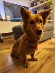 63f278b9-0e38-4a04-88ae-4c7cd00242a1