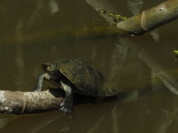 2b9bba48-0fe5-4974-823c-f1716e77af49