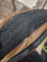 d42f1cd2-cacd-4f99-81fa-8e4272a9e92f