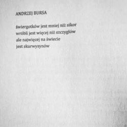 091b548e-1860-48f9-acfb-b732f28f420f