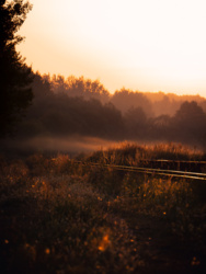 79da64da-70e7-4ee9-8df3-82be57e81d0b