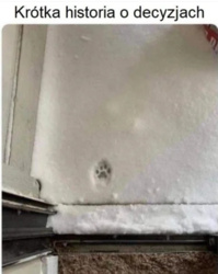 abd9ced0-c476-45e8-9c48-829be7d018ac