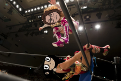 c8c02d9e-b696-44c3-a681-9363fc75c0f2