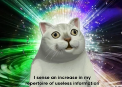 2f78aaff-a2f4-4ae6-b379-98441dc0990e