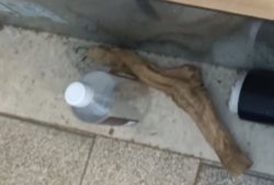 1aa29cf3-856f-42b2-b7bf-0ec02b611196