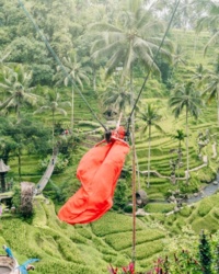 a6e61e7e-c9a7-408a-99fa-042587e20e2d