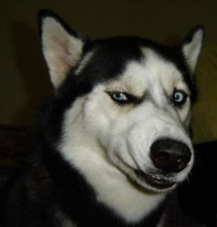 c1fd339e-998b-40c4-801c-9b7c1270f252