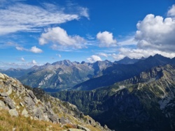 a9962682-8d40-4387-ad74-0779fb1778e5