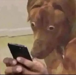 8bd70970-adce-4ecd-9d0f-20324bc1f4fe