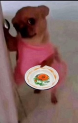 876b25a9-9efa-41f4-856b-f7c8719e46f7