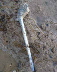 83592ee0-4991-40ee-9155-7fcdb90ff584