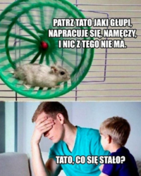 5d8337f7-9a2d-46ca-a79a-b824a2d8ac0b