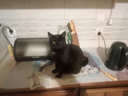 29304485-09de-4649-ae1b-98c26ba6e223