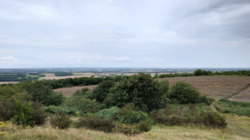 0fe393ca-d493-49b8-a134-452bd5d6927e