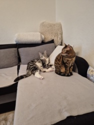 054fd282-8914-40b0-b349-599d97c06b58