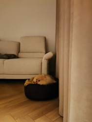 16eef0e6-04d5-4ce4-a159-826f9fa998bc