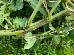 362fd916-7ea5-49f7-b75a-c96c7946cffe