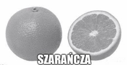 d3c63069-7778-4d54-9d7d-5fee10dded36