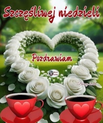 68465c1c-7bd5-4494-a7b1-150906fb9cb8